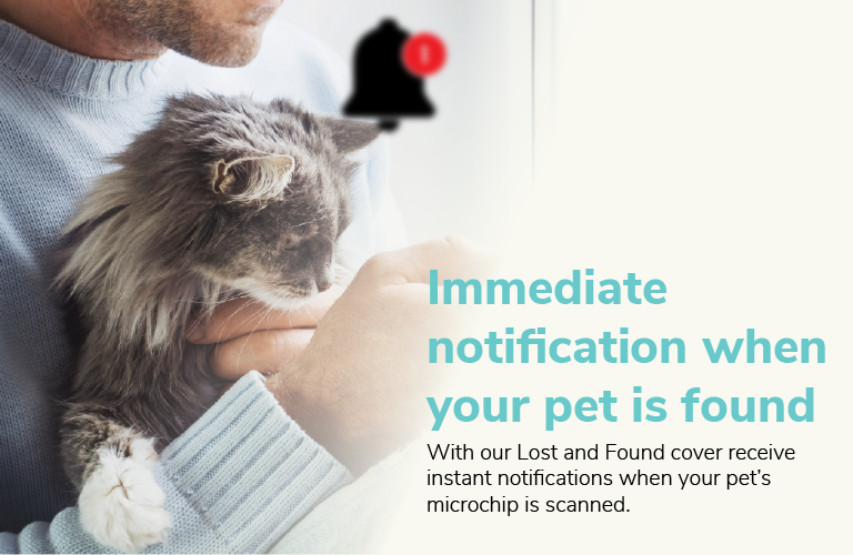 Immediate notification when your pet is found